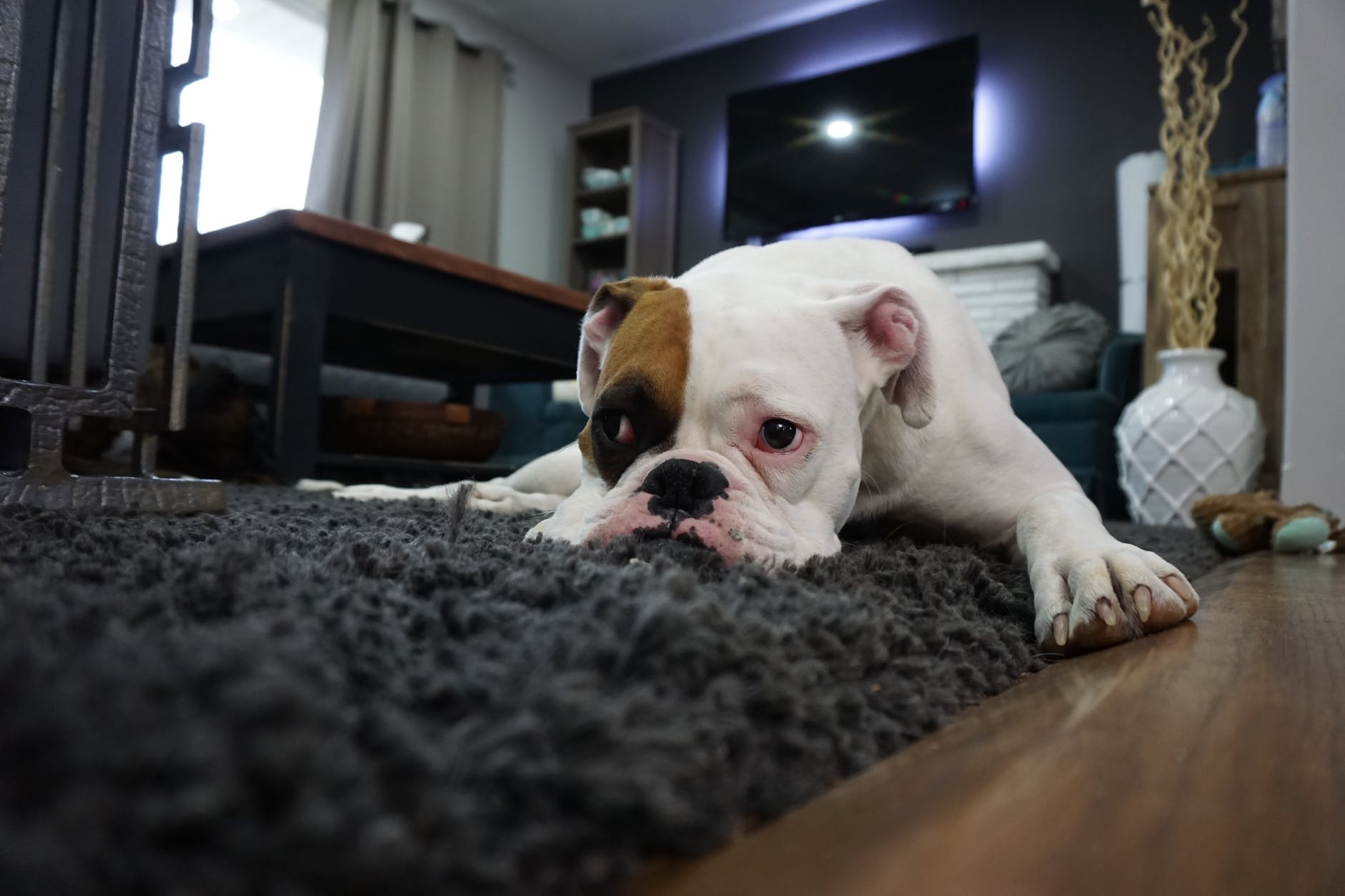 How to overcome laziness?